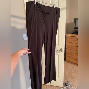 Bootcut dress pant by Lane Bryant